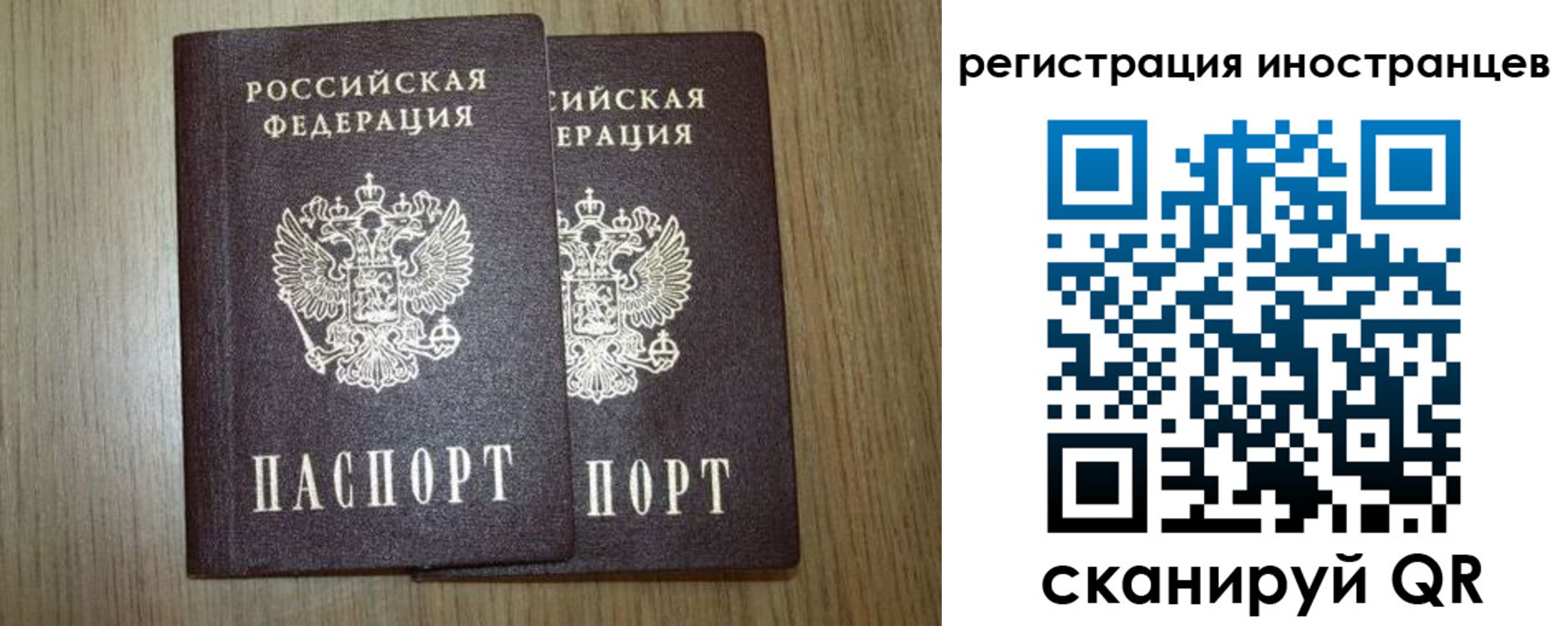 прописка для школы в Петровске